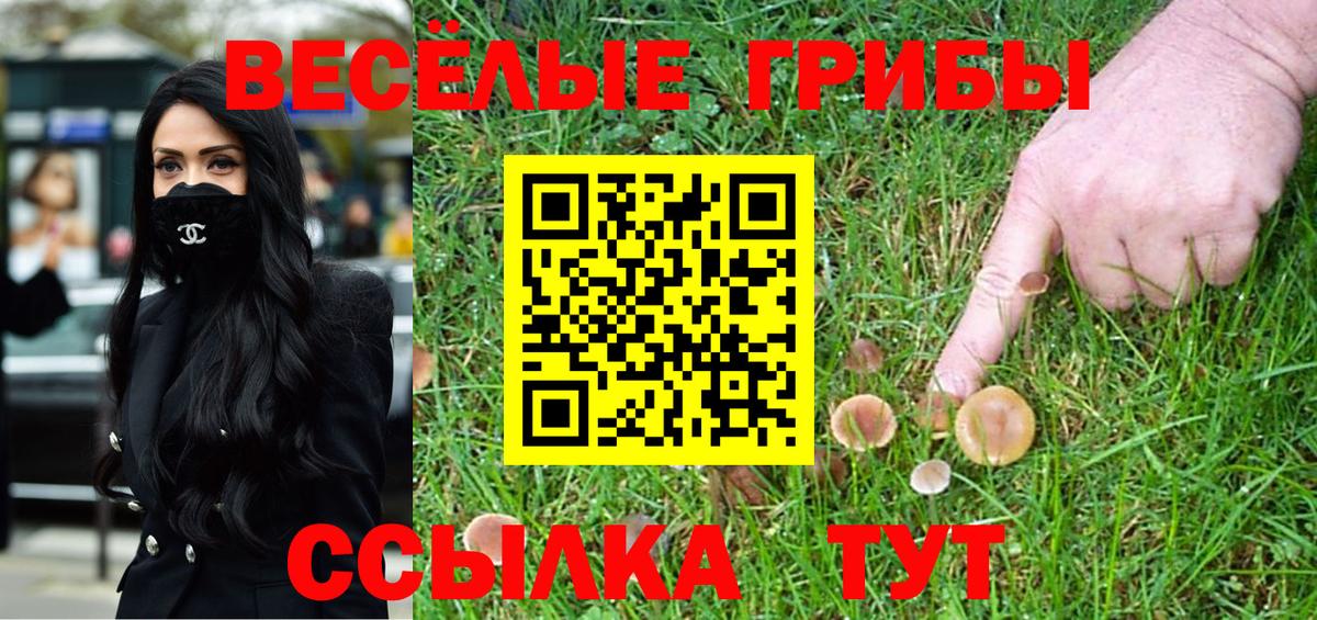 Псилоцибиновые грибы Magic Shrooms  Вход с VPN  Воронеж 